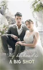 My Husband Is a Bigshot Series: a Comprehensive Overview