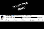 Understanding the Imskirby Dog Incident: a Comprehensive Analysis